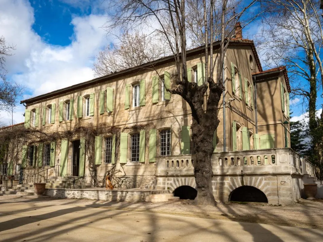 Auberge De La Treille - Chambres D'hôtes - Avignone