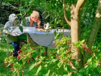 Xho's Forest Guest House Hotel a 