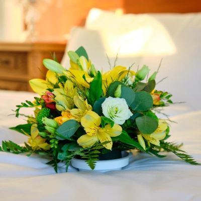 Budget Double Or Twin Room Hotel Štekl Promo Code