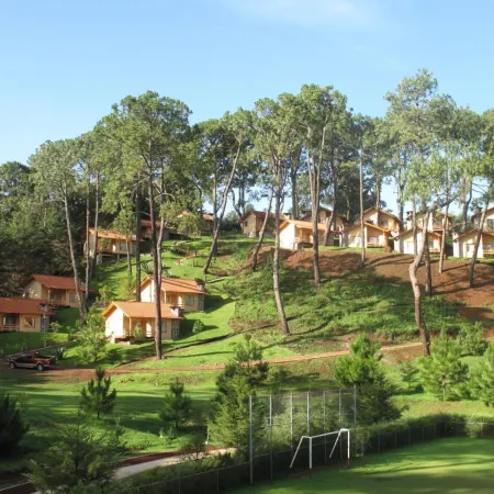 Bosque Escondido