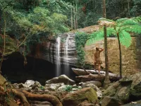 Amore on Buderim Rainforest Cabins Hotels in Mooloolaba