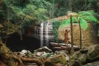 Amore on Buderim Rainforest Cabins