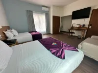 FCH Hotel Minerva-CAS Hotel di 