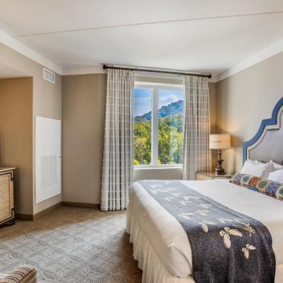 Family Suite Dollywood's DreamMore Resort Promo Code