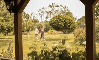 Vegan B&amp;B De Groene Mus - Housity