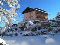 Hotel Cresta Hotels in Flims