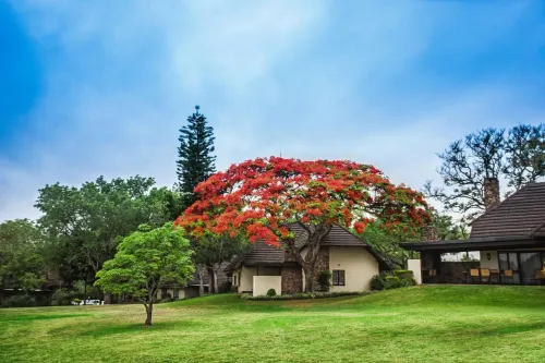 Sabi River Sun Resort