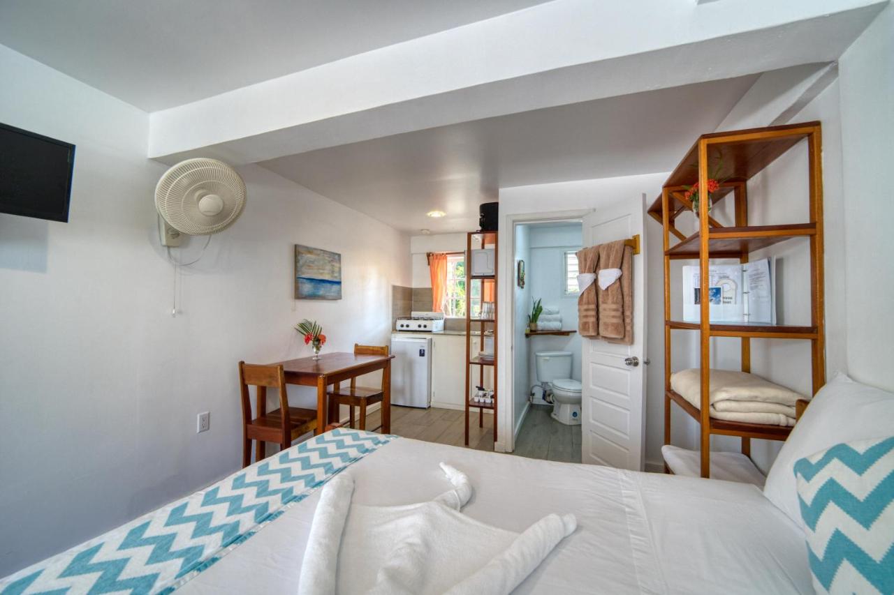 双人床一室房（Iguana）