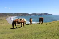 Refugio Parque Tepuhueico Zona Costa Отели в г. 