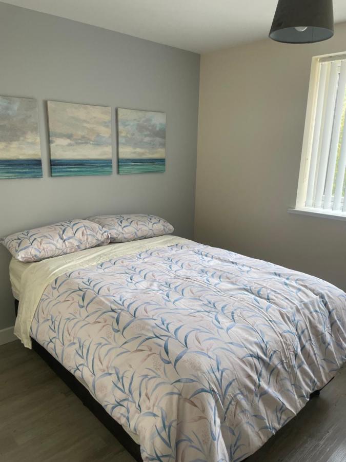 一居室公寓-禁烟