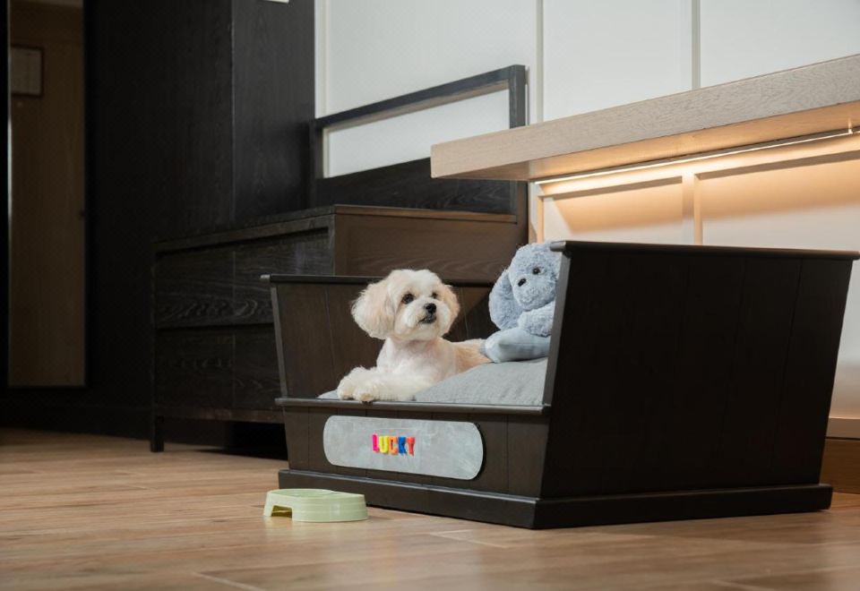 Hyatt Regency Hua Hin2 Twin Beds Pet Friendly Deluxe