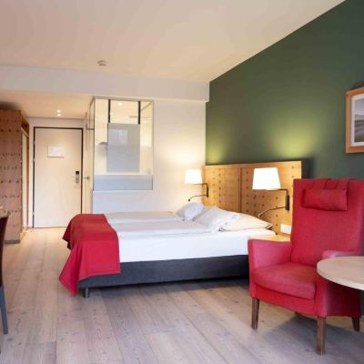 Standard Double Room with Balcony Spa Hotel Erzherzog Johann Promo Code