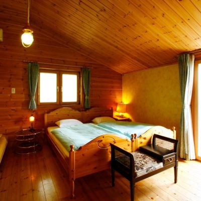 Log Room-Annex-Pet Friendly Hotel Andermatt Promo Code