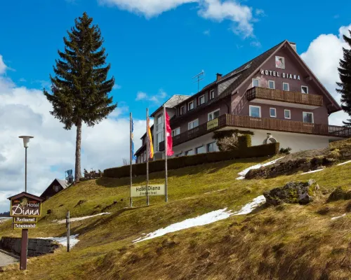 Hotel Diana Ξενοδοχεία στην πόλη Feldberg