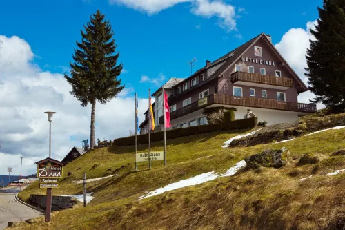 Hotel Diana