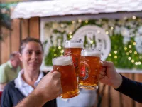 Hotel Domhof Hotels in Speyer