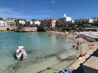 ديمورا دي كازالي