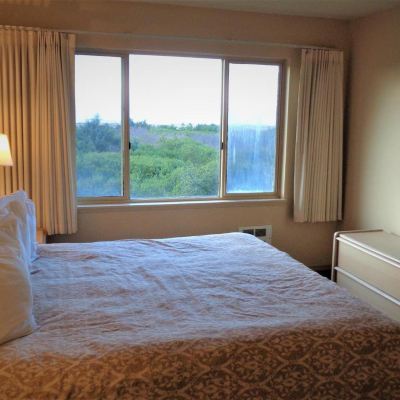 Three Bedroom Penthouse, (2 Kings, 1 Queen), View, Dog Friendly "John Wayne Suite" The Polynesian Resort Promo Code