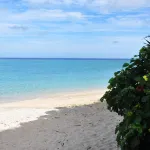 Sea Breeze