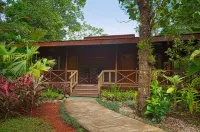 Pachira Lodge Hotels in 