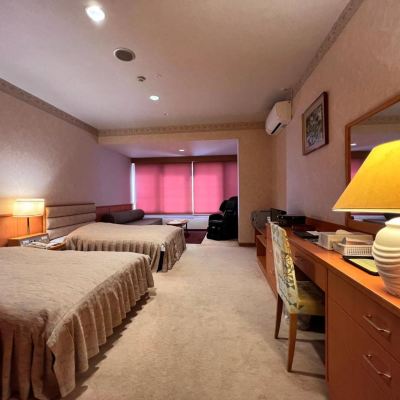Deluxe Twin Room Hotel Miki Gelo Promo Code