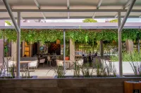 Eco City Hoteles Hotels in 