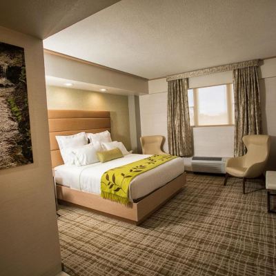 Tower Superior King Room The Fredonia Hotel and Convention Center Promo Code