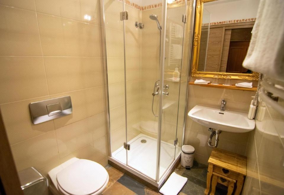 Seehotel Schlierseer HofDouble Room with Street View