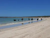 On the Deck @ Shark Bay Hotels in Denham