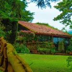 Los Naranjos Town Houses Các khách sạn ở 