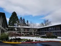 Village Inn