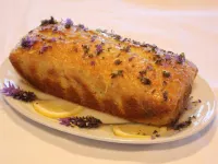 Lavender Boutique Hotel Hotels in Ramallah