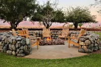 Elegant Desert Lodge Hotels in 