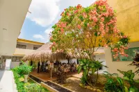 Hotel Ancor Hotels in 