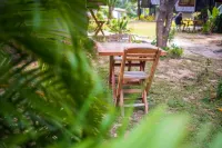 Cashewnut Tree Resort