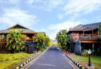Aamby Valley City