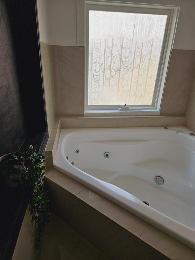 一臥室公寓-樹頂工作室