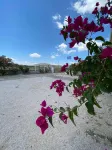 Leonidas Resort