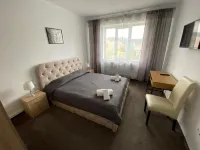 佩特羅沙尼出租房 - Hotel Petroshani srl 住宿飯店