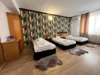 Pensiunea Nys Hotels in 