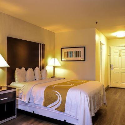 Standard Queen Room-Non-Smoking Quality Inn & Suites Camarillo - Oxnard Promo Code
