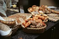 伽尼斯加羅斯公園飯店