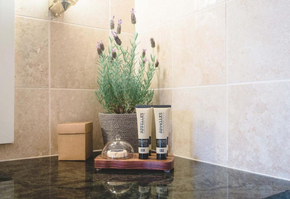 园景一卧室公寓