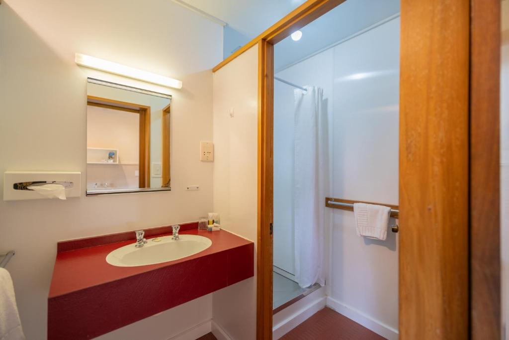 标准一卧室公寓