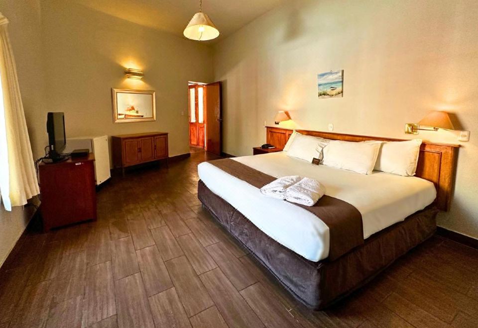 双人房， 1 张大床