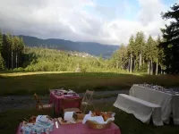 Hotel Restaurant Peterle Ξενοδοχεία στην πόλη Feldberg