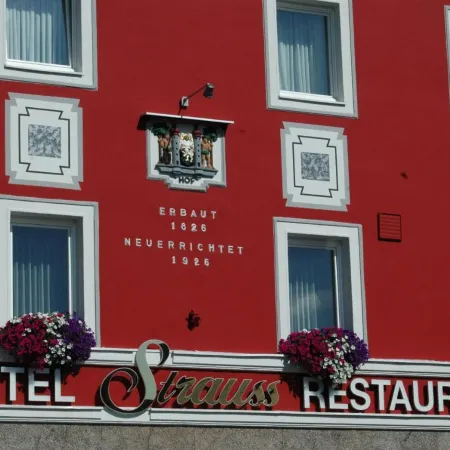 Hotel Strauss Отели в г. Хоф