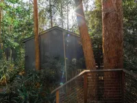 Amore on Buderim Rainforest Cabins Hotels in Mooloolaba