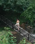 The Stream House