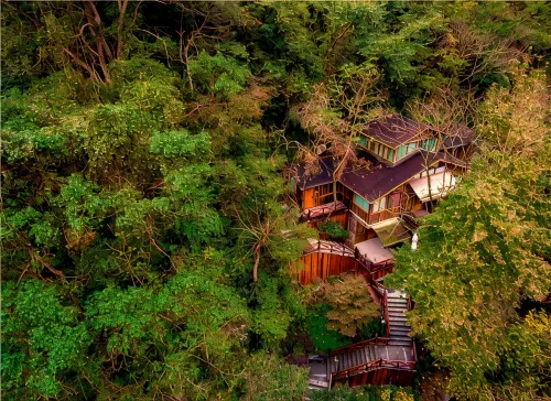 Ninghai Forest Hot Spring Resort